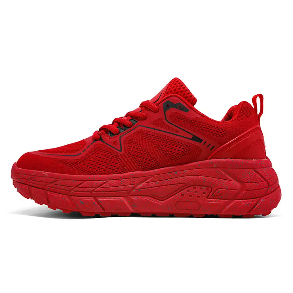 Women'S Accessories Famous Footwear - Does Not Slip Size 37 Shoes